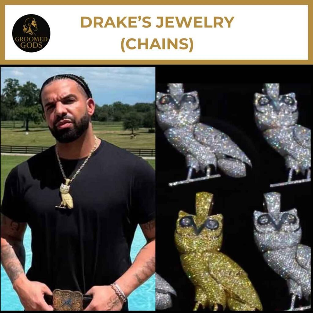 drake-jewelry-chains (2)_15 Drake wearing diamond owl pendant chains, including multiple iced-out OVO owl designs in gold and silver.